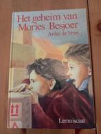 Het geheim van Mories Besjoer - Anke de Vries, Ophalen of Verzenden, Gelezen, Anke de Vries, Fictie
