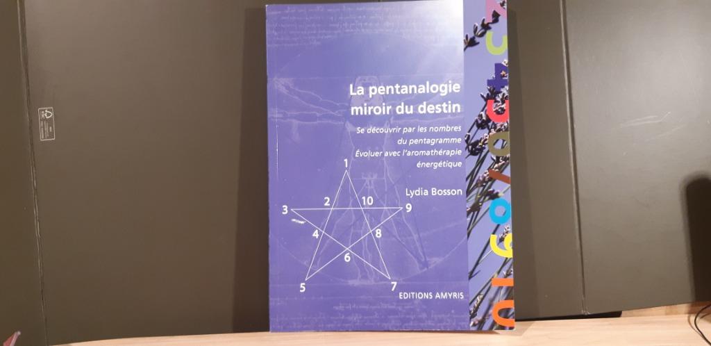 La pentanologie miroir du destin, Livres, Livres Autre, Comme neuf, Enlèvement