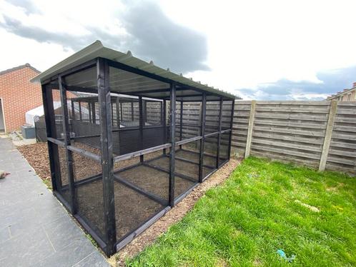 Kippenren, Kippenkot, alles op maat, met plaatsing, Dieren en Toebehoren, Pluimvee | Toebehoren, Nieuw, Kippenhok of Kippenren