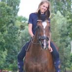Bijrijder/halve stal gezocht, Dieren en Toebehoren, Merrie, 160 tot 165 cm, Springpaard, Gechipt
