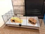 Nieuwe Knaagdierenkooi met accessoires, Ophalen, Zo goed als nieuw, Kooi, Cavia