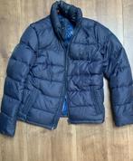 Tommy hilfiger jas, Ophalen of Verzenden, Zo goed als nieuw, Maat 48/50 (M)