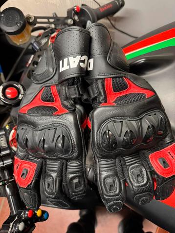 Gants en cuir Speed Evo C1 Logo Ducati, Motoren, Kleding | Motorkleding, Ophalen of Verzenden, Heren, Handschoenen, Alpinestars