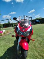 Cbr 900rr fireblade 1997, Motoren, Motoren | Honda, Particulier