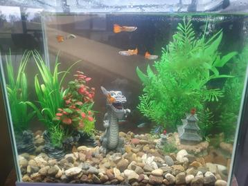 Aquarium Superfish Start 30 Tropical Kit WIT beschikbaar voor biedingen