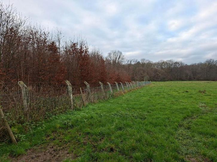 Betonnen palen gratis (180suks), Tuin en Terras, Palen, Balken en Planken, Zo goed als nieuw, Palen, 180 tot 250 cm, Ophalen