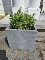 Blauwe stenen bloempotten, Tuin en Terras, Bloempotten, Steen, Gebruikt, Minder dan 40 cm, Rechthoekig