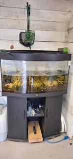 Juwel aquarium 180l met onderkast, Dieren en Toebehoren, Ophalen, Zo goed als nieuw