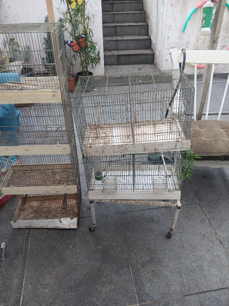 Cages de élevage, Enlèvement, Utilisé, Métal, Cage d'élevage