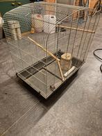 Vogel kooi, Dieren en Toebehoren