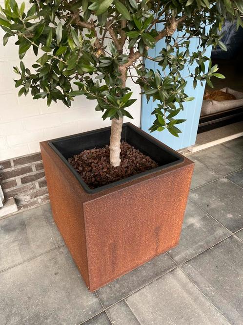 Cortenstaal bloembakken met bodem op maat, Tuin en Terras, Bloembakken en Plantenbakken, Zo goed als nieuw, Ophalen of Verzenden
