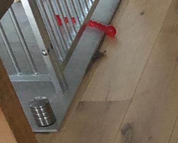 Hondenpark, beschikbaar voor biedingen