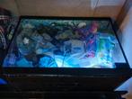 Aquarium met licht en toebehoren, Dieren en Toebehoren, Vissen | Aquaria en Toebehoren, Ophalen, Gebruikt