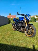 Yamaha fz8, Particulier