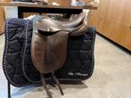 paarden, Dieren en Toebehoren, Ophalen, Gebruikt, Dressuur