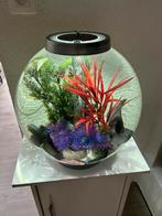 Biorb aquarium, Dieren en Toebehoren, Ophalen