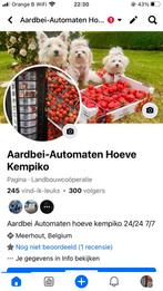 Distributeurs automatiques de fraises Farm Kempiko, Tickets & Billets