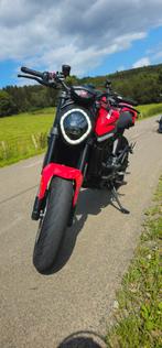 Ducati Monster + 937, Motoren, Motoren | Ducati, 2 cilinders, Particulier, Meer dan 35 kW, 937 cc