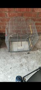 Kooi, Dieren en Toebehoren, Ophalen of Verzenden