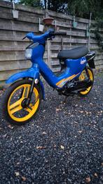 Honda wallaroo, Particulier