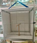 Foto kooi met draai systeem €55  Diep 24 - hoog 36 - L34, Dieren en Toebehoren, Ophalen, Zo goed als nieuw