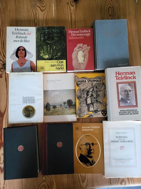 Allemaal Herman Teirlinck, Boeken, Literatuur, Gelezen, Ophalen of Verzenden