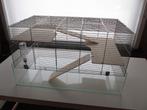 Cage neuve pour petits rongeurs (verre/treillis) hamster, Neuf, Rat, Moins de 60 cm, 75 à 110 cm