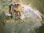 D*Note. Shed My Skin., CD & DVD, Enlèvement ou Envoi