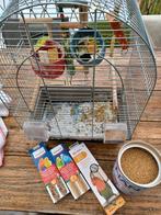 Vogelkooi met atributen, Dieren en Toebehoren, Ophalen, Gebruikt, Metaal, Vogelkooi