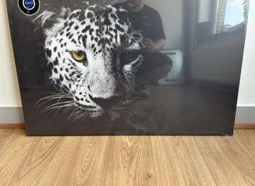 Canvas met luipaardprint beschikbaar voor biedingen