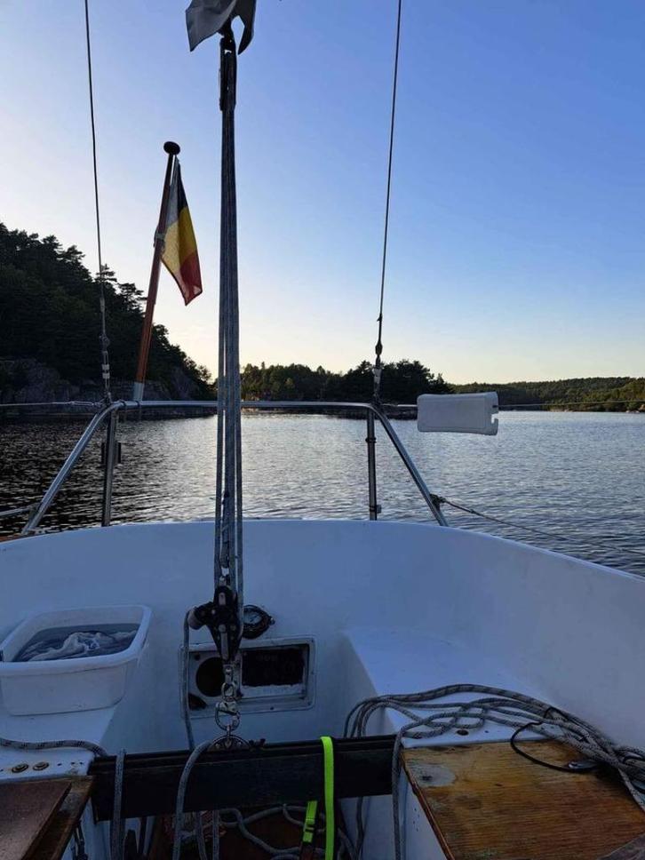 Allegro 27 opknapper, Watersport en Boten, Kajuitzeilboten en Zeiljachten, Gebruikt, Tourjacht of Cruiser, Polyester, 6 tot 9 meter