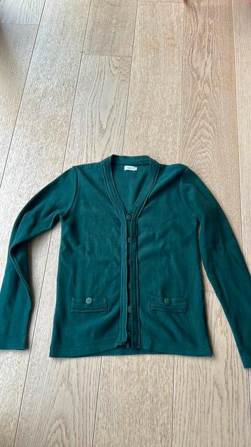 Groen vest Staxo 12 jaar. beschikbaar voor biedingen