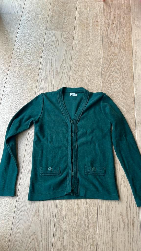 Groen vest Staxo 12 jaar., Kinderen en Baby's, Kinderkleding | Maat 152, Zo goed als nieuw, Ophalen of Verzenden