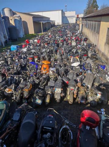 TNT MOTORS roma, boston, halo, pièces beschikbaar voor biedingen