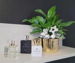 Verwen je geliefde met onze parfums !, Handtassen en Accessoires, Uiterlijk | Parfum, Ophalen of Verzenden, Nieuw