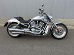 V-Rod aluminium, Motos, Motos | Harley-Davidson, 2 cylindres, Plus de 35 kW, Chopper, Entreprise