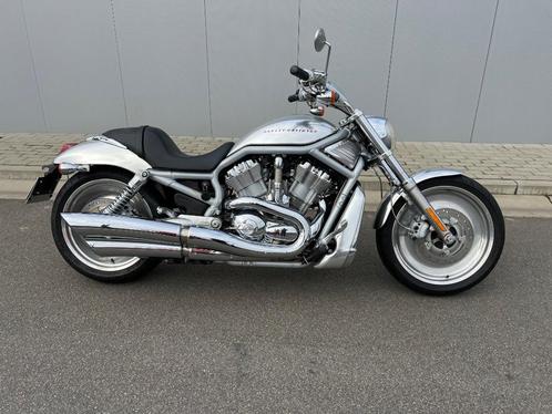 V-Rod aluminium, Motos, Motos | Harley-Davidson, Entreprise, Chopper, plus de 35 kW, 2 cylindres, Enlèvement