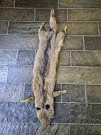 Mooie Antieke Bont Stola van Robert Hansen pels, Verzamelen, Dierenverzamelingen, Ophalen of Verzenden, Gebruikt, Wild dier, Opgezet dier