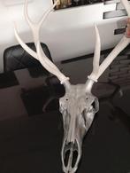 Tête de cerf, Enlèvement, Comme neuf