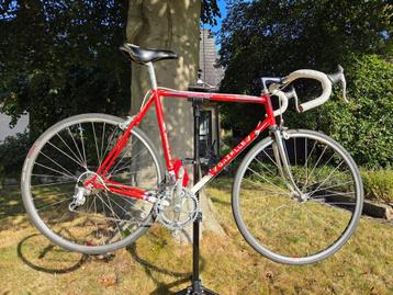 Gazelle vintage koersfiets campagnolo groepset beschikbaar voor biedingen