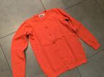 Oranje, rood vestje m146/3€, Kinderen en Baby's, Kinderkleding | Maat 146, Ophalen, Gebruikt