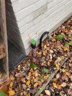 mazout, Enlèvement, Comme neuf