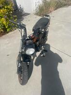 Skyteam Dax 49cc, Autres modèles, 4 vitesses, 49 cm³, Classe B (45 km/h)