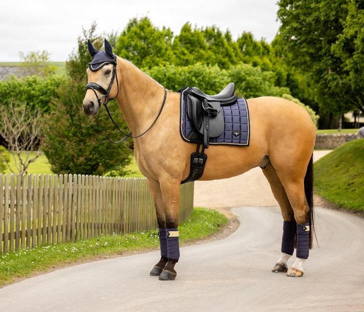 LeMieux Loire dressuur dekje Dusk Blue full SALE -30%!, Dieren en Toebehoren, Paarden en Pony's | Dekens en Dekjes, Nieuw, Dekje
