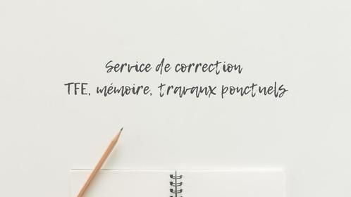 Correction travaux d'écriture (TFE, mémoires...), Diversen, Schrijfwaren, Nieuw, Verzenden