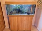 Juwel rio 180, met filter, verwarming en co2 instalatie, Dieren en Toebehoren, Ophalen