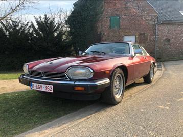 Jaguar XJS, Autos, Achat, Beige, Automatique, Particulier