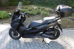 Honda Forza 125 ABS, 1 cylindre, Scooter, Particulier, 125 cm³