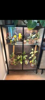 Ikea RUDSTA, ikea greenhouse cabinet, Huis en Inrichting, Ophalen, Gebruikt