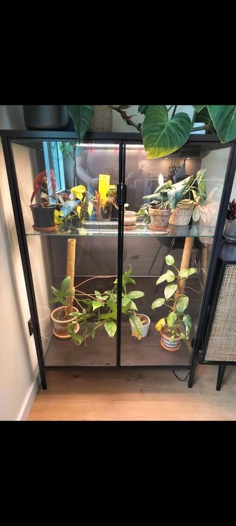 Ikea RUDSTA, ikea greenhouse cabinet, Huis en Inrichting, Woonaccessoires | Kamerschermen, Gebruikt, Ophalen